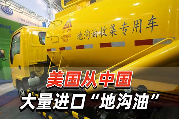 地沟油的检测