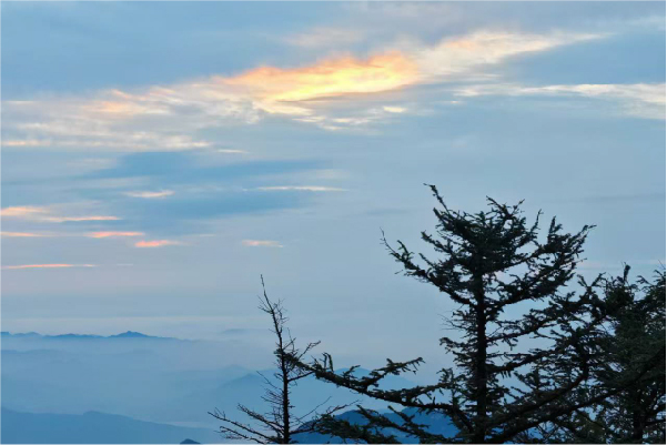 亿万28网页版官方-亿万28入口网页版-亿万28网页版网址-亿万28网页在线玩-28游戏官网在线玩-亿万e网址pg-亿万28模拟器-亿万28娱乐-亿万28线上网仪器泰山之行