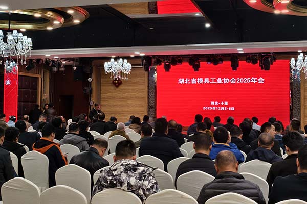 湖北模具工业协会年会